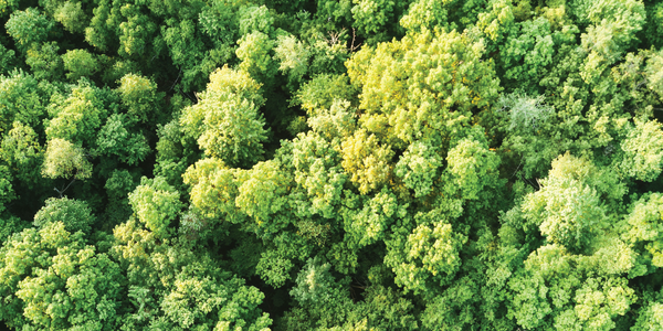 Sustainable products in the presentation industry